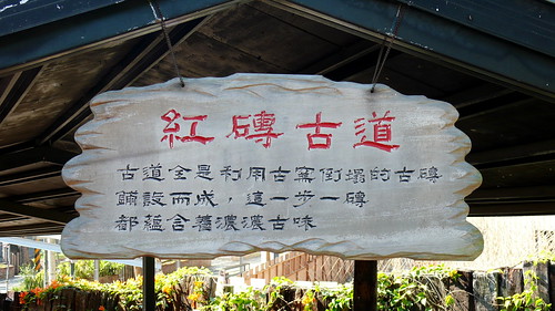 P1020970.JPG