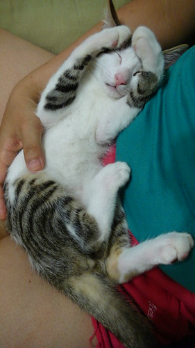 啊，好閃！